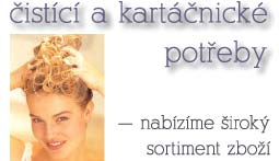 — čistící a kartáčnické potřeby